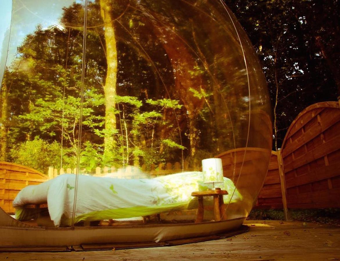 Hotel Bulle D'R Dournazac Zewnętrze zdjęcie